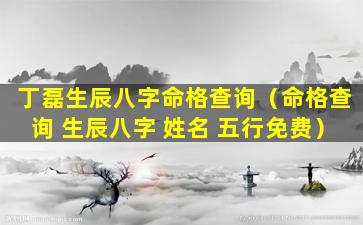 丁磊生辰八字命格查询（命格查询 生辰八字 姓名 五行免费）